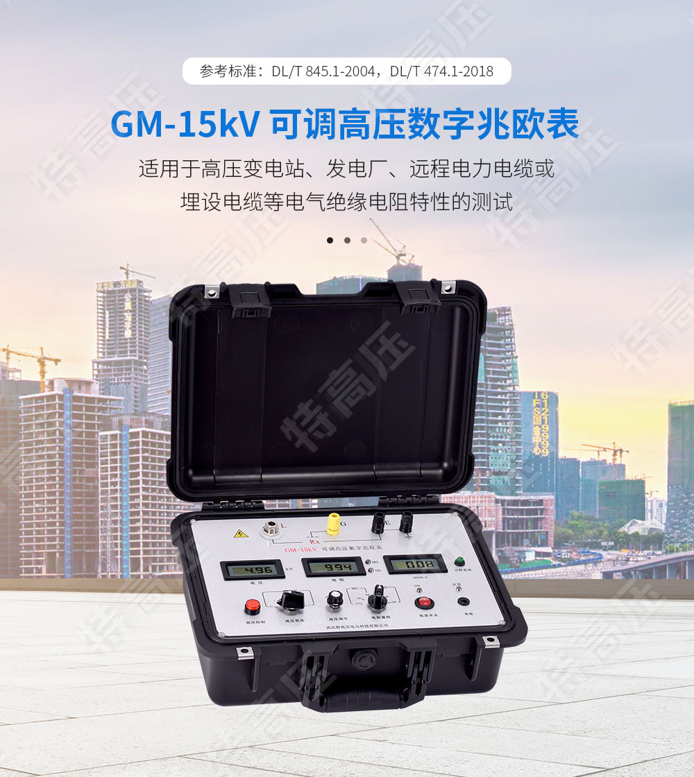 數字式兆歐表